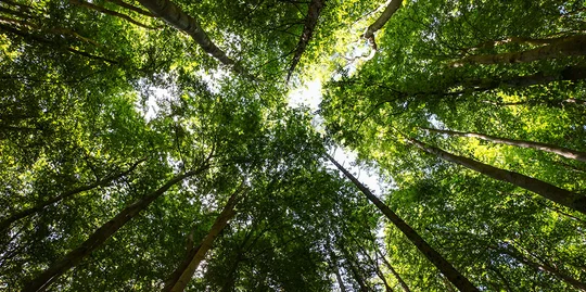 Sustainablility-Genral.jpg