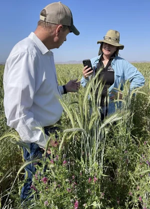 Two adults talking in a grass field.