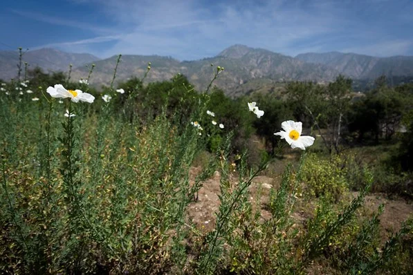 Picture 1.jpg
