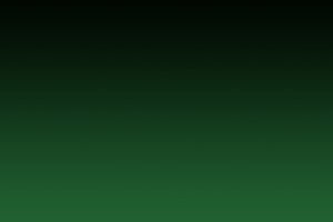 Farbverlauf schwarz grün