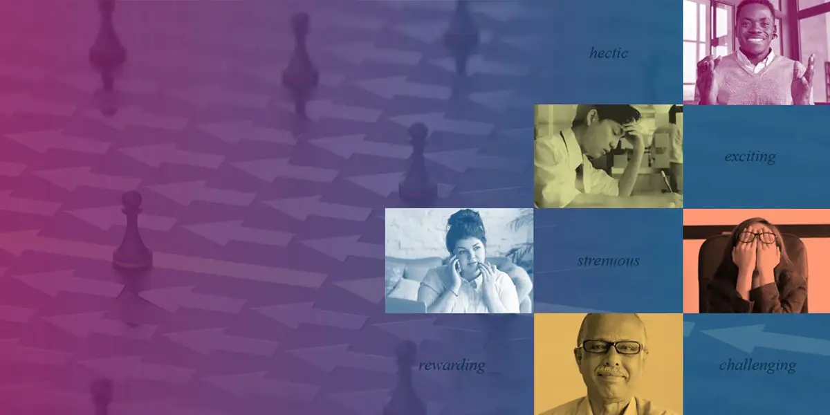 design development experiences