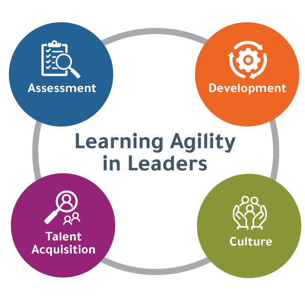 graphic with text that reads, "Learning Agility in Leaders" in the center, surrounded by the tools HR can use to develop the skill: assessment, development, talent acquisition, and culture.