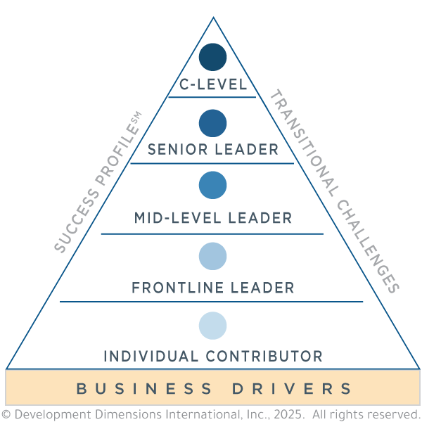 Pyramid with business drivers at base and levels to indicate how to differentiate your leadership competency framework.