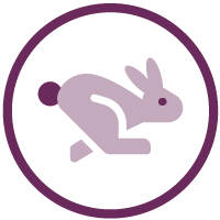 icon of a rabbit moving quickly to show having agility will help leaders through changes in the workplace today