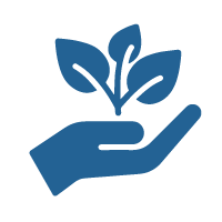 hand holding a plant that is growing to show that this best practice for building a strong leadership pipeline is that leaders with high-potential must be thought about differently 