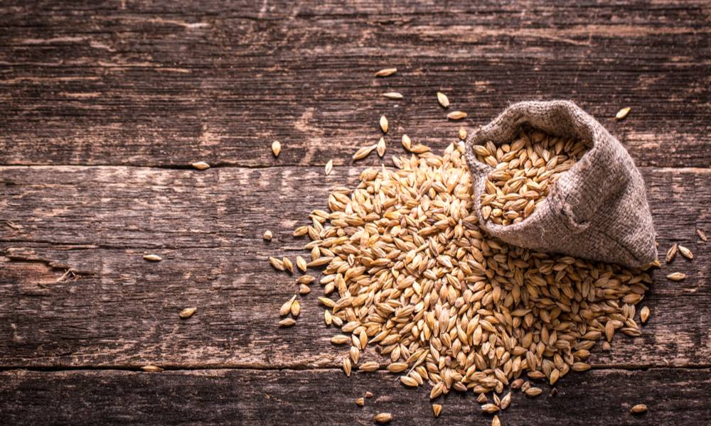 Barley on a wooden table (1).jpg