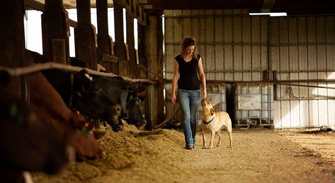 vrouw aait hond in een stal met naast hun koeien in boxen