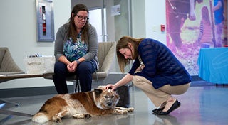 collage van een vrouw die haar hond knuffelt en een vrouw die glimlacht