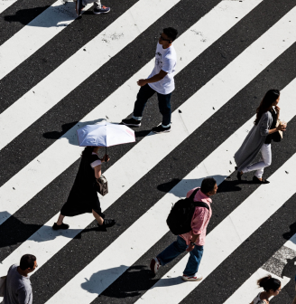 LEARNING + SOCIETY Domain