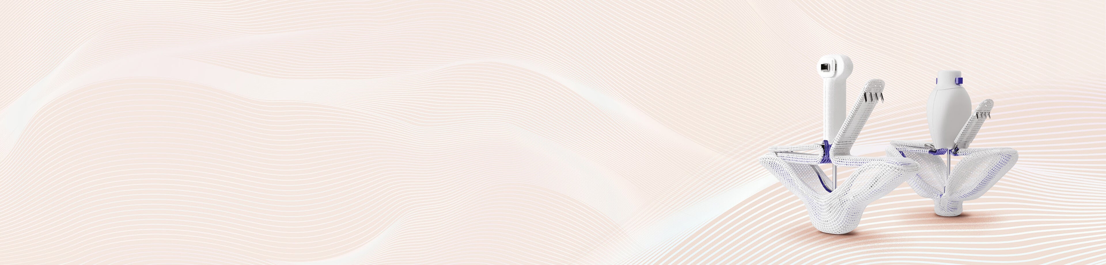 MICLASP study PASCAL - MR