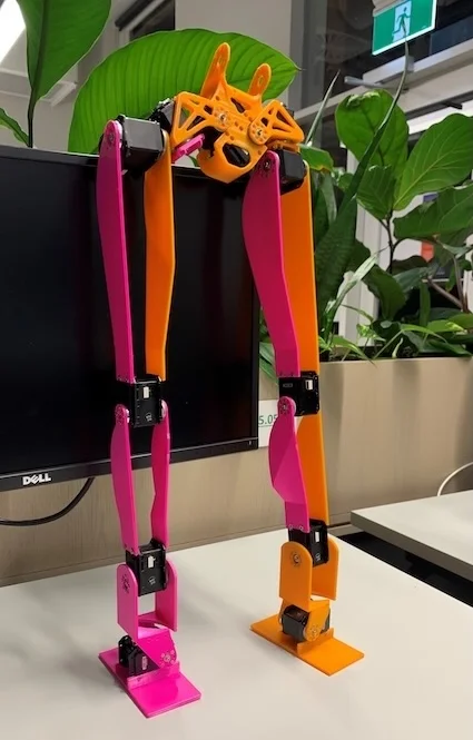 Closer view of Abi's legs