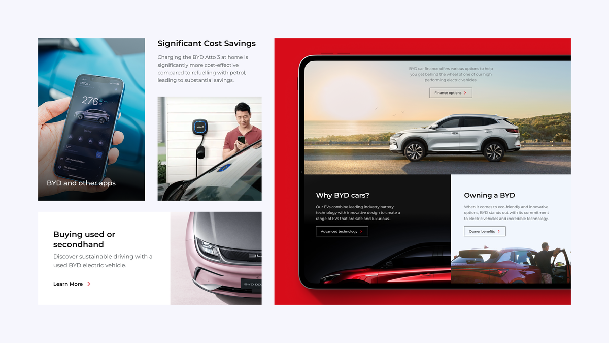 BYD - website screen shots