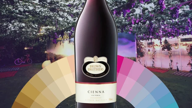 Colourful Conversations colour wheel