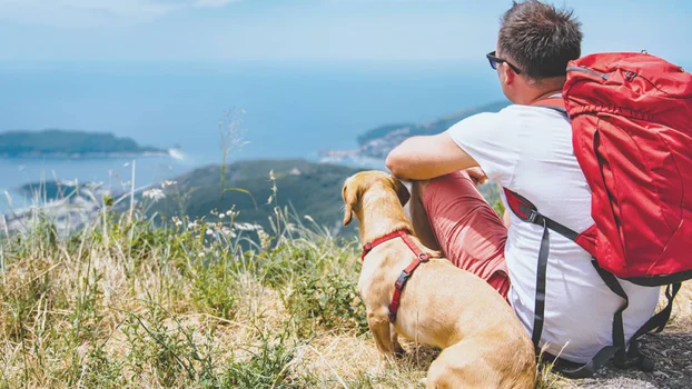 Man and a dog looking out over a seaside town