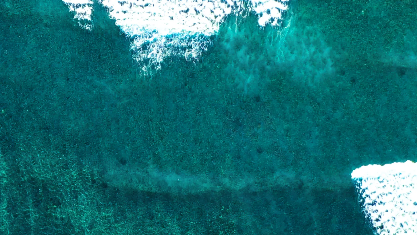 Netwealth website home page