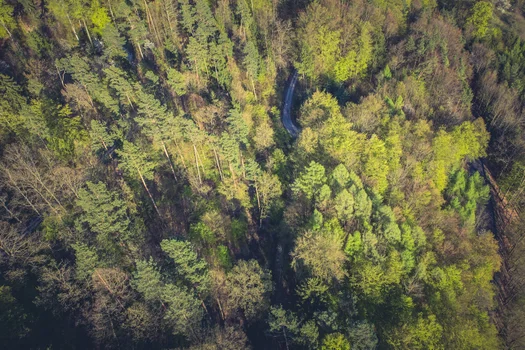 Vanguard Investment Chart imagery