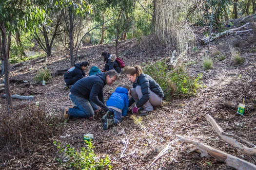 Tami and family planting trees