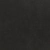 VLAL-Color-SignalBlack.png