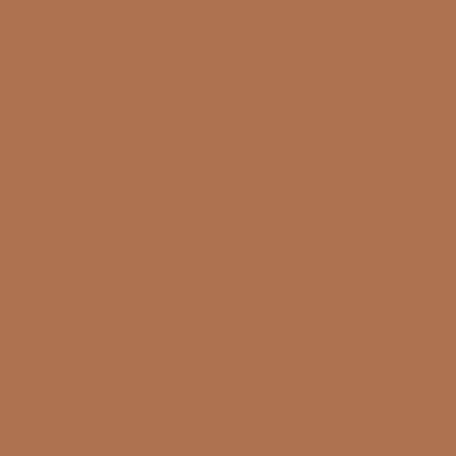 Copper Canyon.png