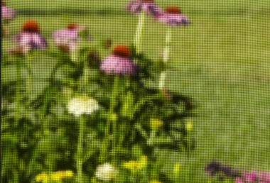 Screen-Mesh-BetterVue-sm-tiny.jpg