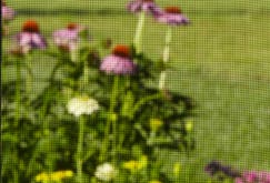 Screen-Mesh-BetterVue-sm-tiny.jpg