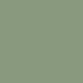Green Tea Leaf.png