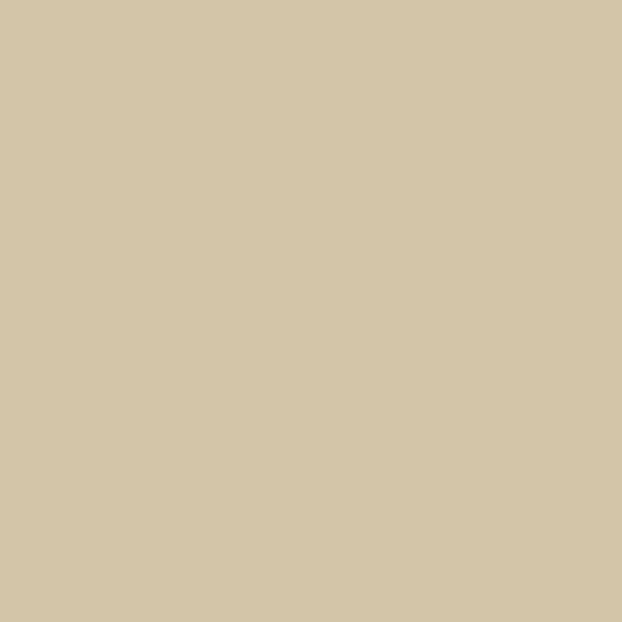 Camel.png