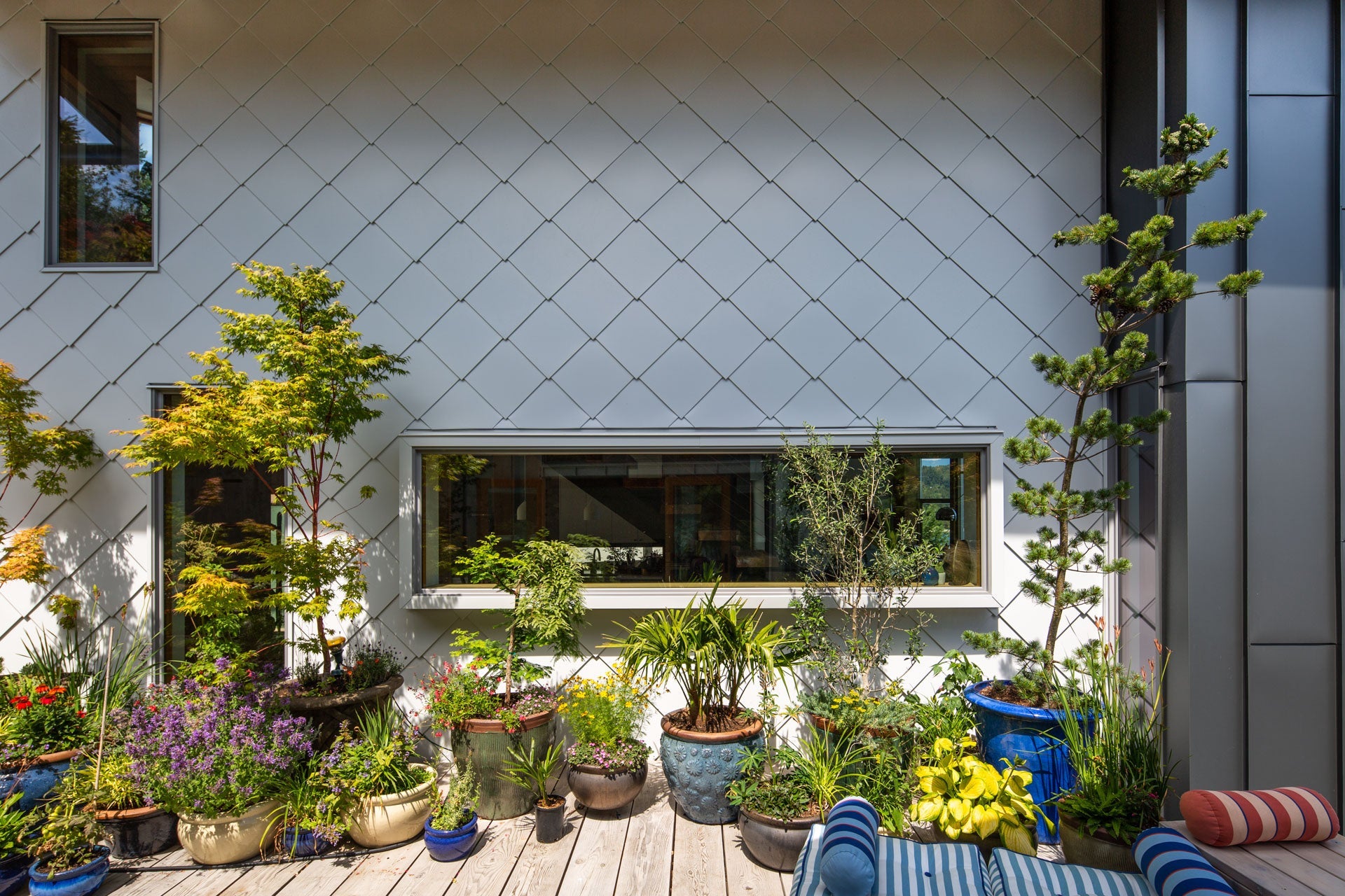 AN658 - Exterior of contemporary home with Ultra Series windows and doors