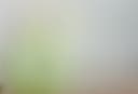 Glass-Obscure-FrostedMatte-tiny.jpg