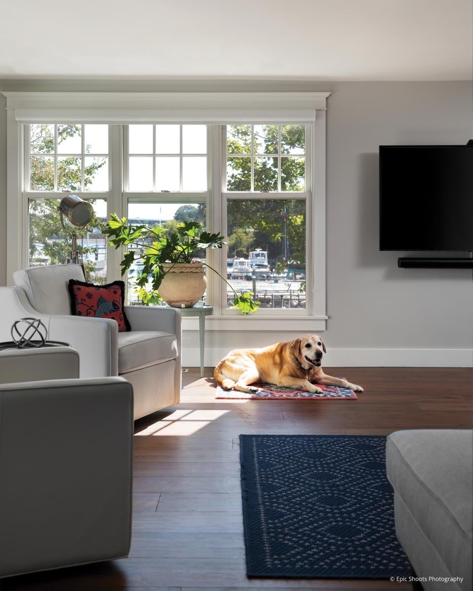 AM702 - dog in living room with Ultra series double hungs