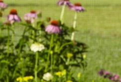 Screen-Mesh-UltraVue-sm-tiny.jpg