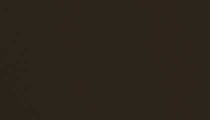 Screen-Bronze.png