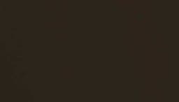 Screen-Bronze.png