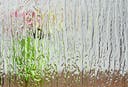 Glass-Obscure-Rain-tiny.jpg
