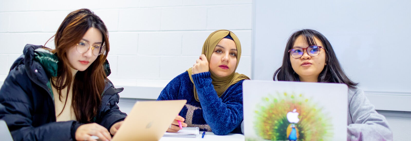 Students studying on computers