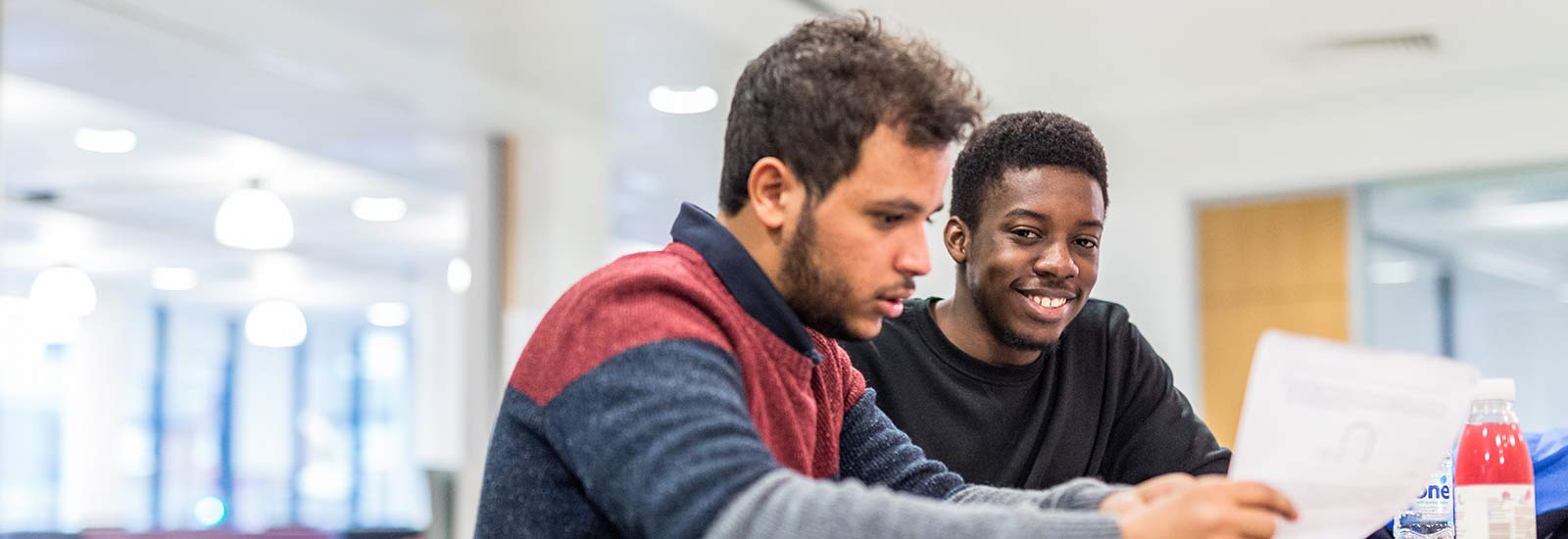 Students studying together