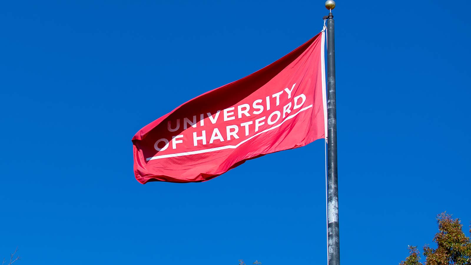 The University of Hartford flag