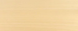 Basswood