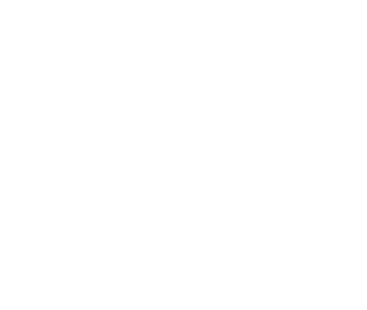 Heart Health Icon