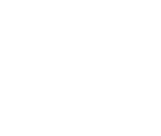 Heart Health Icon