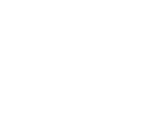 Immunity Icon