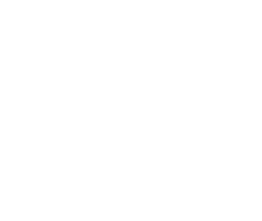Immunity Icon