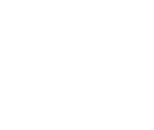 Sauna Detox Icon