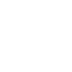 Immunity Icon