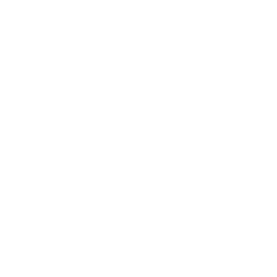 Immunity Icon