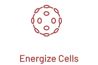 Energize Cells
