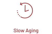 Slow Aging