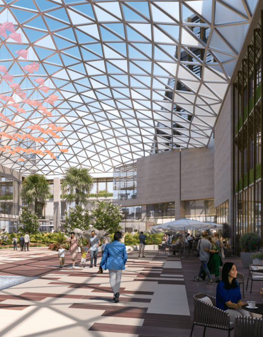 عن بالم هيلز