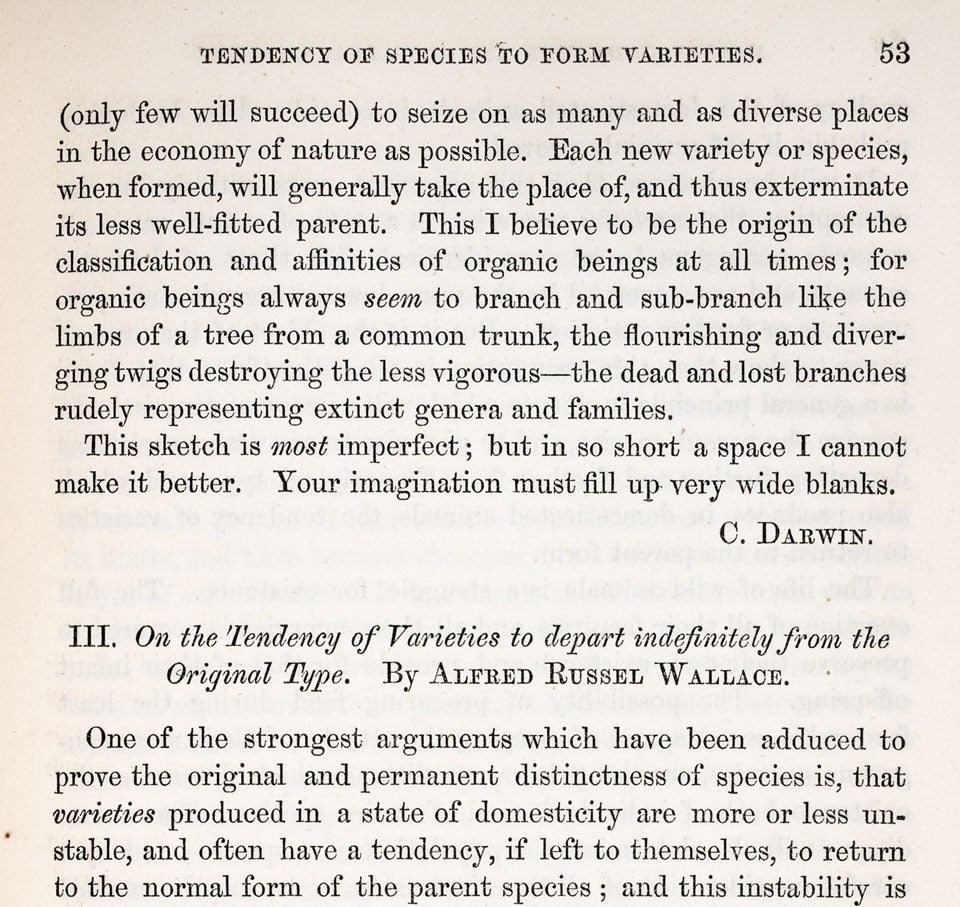 Conclusion of Darwin’s paper, and the beginning of Wallace’s paper. Image source: Darwin, Charles, and Alfred Russel Wallace. "On the Tendency of Species to form Varieties and Species by Natural Means of Selection." Journal of the Proceedings of the Linnean Society, vol. 3, 1858, p. 53.