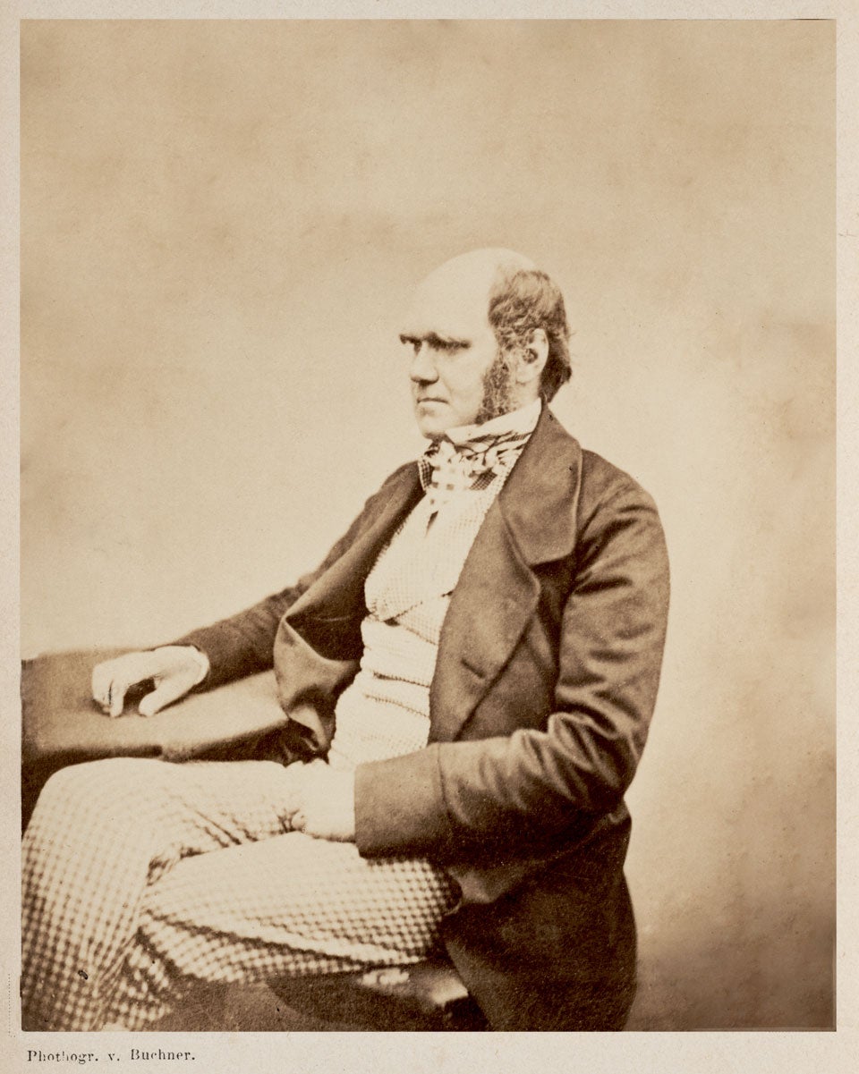 Portrait of Charles Darwin, from his Über die Entstehung der Arten im Theirund Pflanzen-Reich durch Natürliche Züchtung, 1863. This is the second German edition of the Origin of Species, and the only edition in any language to contain a portrait during Darwin’s lifetime. 